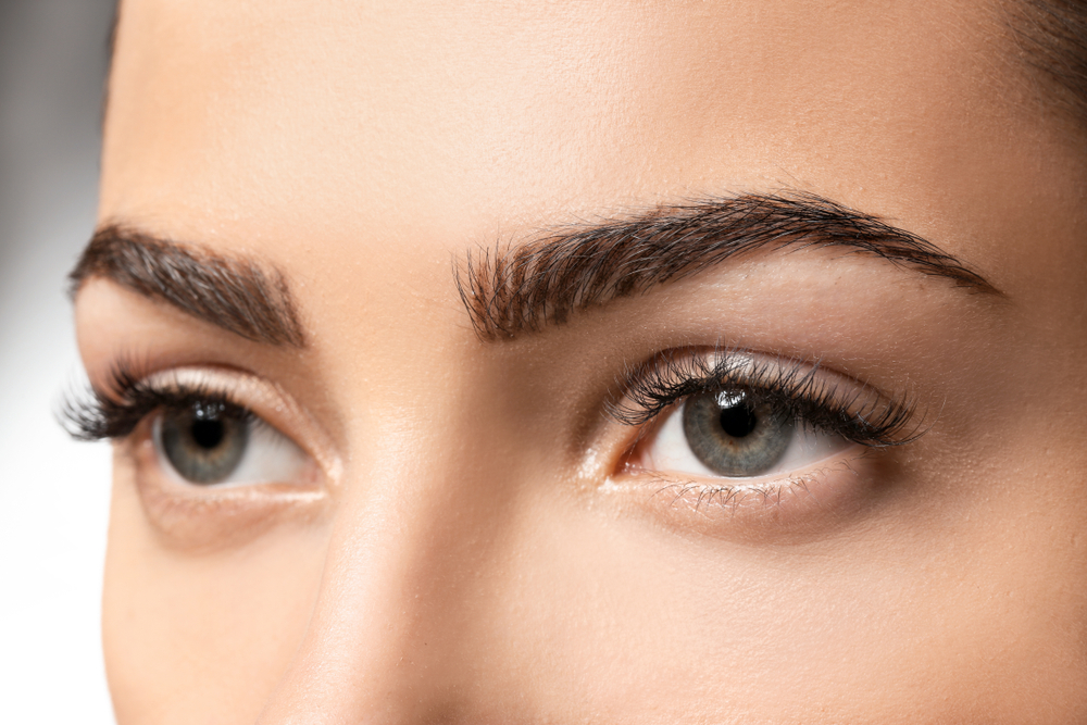 eyebrow transplant eyebrow transplant